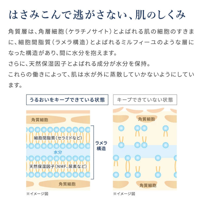 アオハル モイスチャー ローション AOHAL Moisture Lotion 化粧水 乾燥肌対策 保湿化粧水