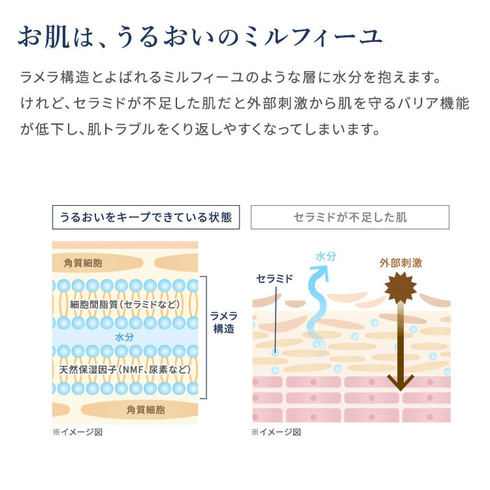 AOHAL Moisture Cream Ceramide Cream