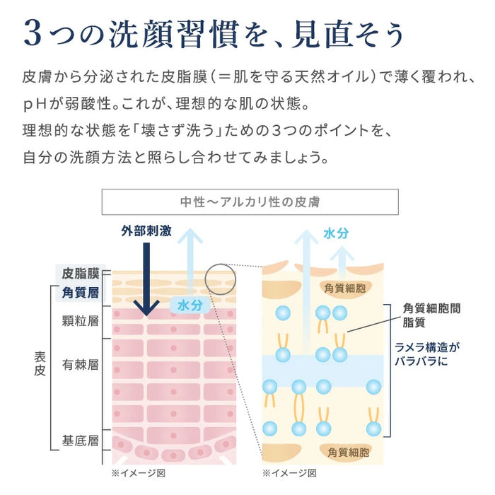 AOHAL Moisture Washing Foam Facial Foam